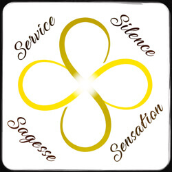 Logo La Voie de la tortue