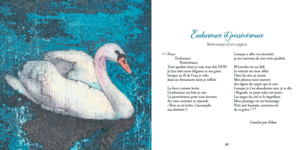 Message d’un cygne