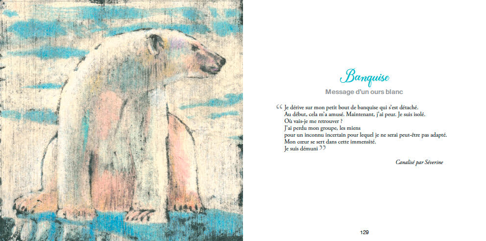 Message d’un ours blanc