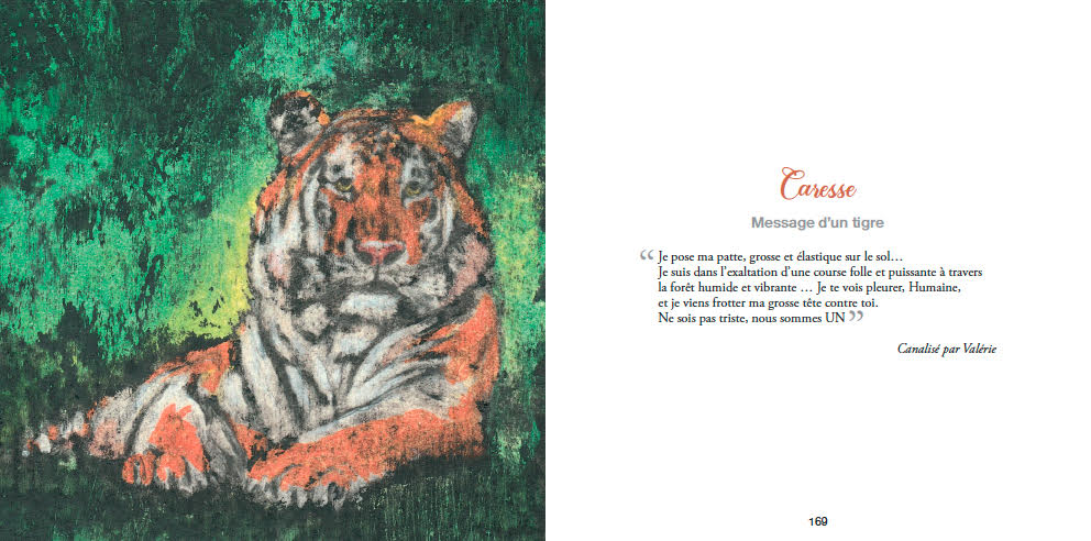Message d’un tigre