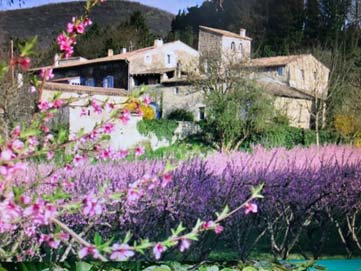 La terrasse de la résidence